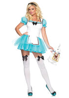 Enchanted Alice In Wonderland Sexy Costume