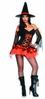 Hocus Pocus Hottie Sexy Witch Costume