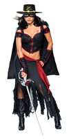 Secret Wishes Lady Zorro Adult Costume