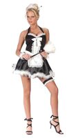 Neat and Sweet Sexy French Maid Costume