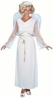 Womens Adult Angel Costume