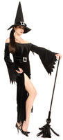 Secret Wishes Wicked Witch Sexy Costume