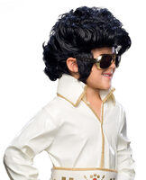 Rock Star (Elvis) Wig