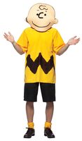 Adult Peanuts Charlie Brown Costume