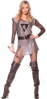 Lady Knight Adult Medieval Costume
