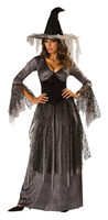 Womens Mystical Adult Witch Costume