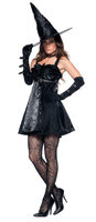 Spellbound Sexy Witch Costume