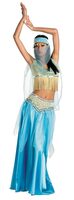 Womens Sexy Desert Belly Dancer Costume