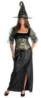 Womens Pretty Emerald Plus Size Witch Costume