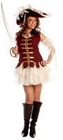 Pirate Treasure Sexy Costume