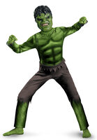 Boys Avenger costumes Hulk