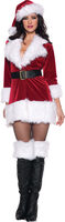Womens Sexy Secret Santa Costume