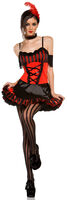 Sexy Saloon Girl Costume