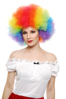 Rainbow Clown Wig