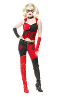 Harlequin Clown Adult Costume