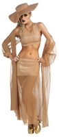 Sexy Lady Gaga costume