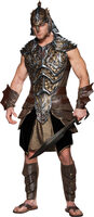 warrior costume 