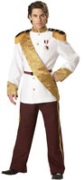 Prince Charming Adult Costume
