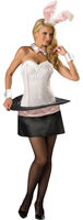 sexy bunny costume