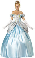 princess costume for women