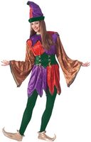 Female Jester Adult Costume
