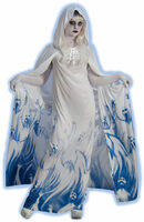 Soul Seeker Womens Costume