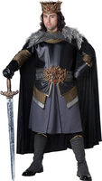 medieval king costume