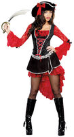 Treasure Pleasure Pirate Costume