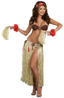 Tahiti Sweetie Luau Costume