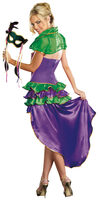 Mardi Gras Maven Costume Back