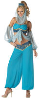 Harem's Jewel Adult Costume