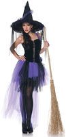 Black Magic Witch Costume