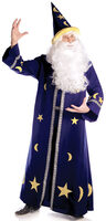 Spell Master Wizard Costume