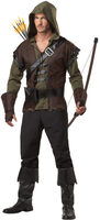 sherwood robin hood costume