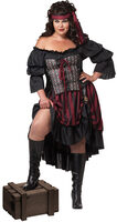 plus size renaissance wench costume