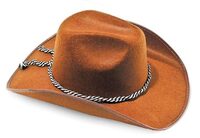 Mens Brown Cowboy Hat