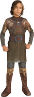 hobbit dwalin storybook kids costume