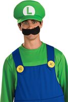 Super Mario Bros Luigi Hat