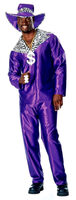 Mac Daddy Pimp Costume