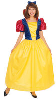 Disney Snow White Costume