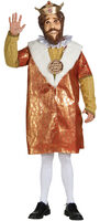 Burger King Costume