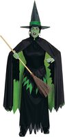 Wicked Witch of the West Costume