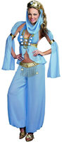 Harem Hottie Belly Dancer Costume