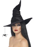 witch hat with spider