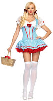 Diva Dorothy Costume
