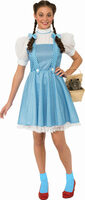 adult dorothy wizard of oz costume