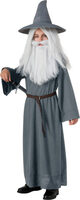 gandolf kids wizard costume