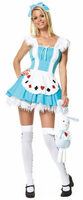 Alice In Wonderland Costume