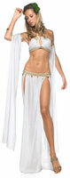 Sexy Greek Goddess of Love Costume