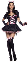 Sexy Pretty Kitty Cat Costume
